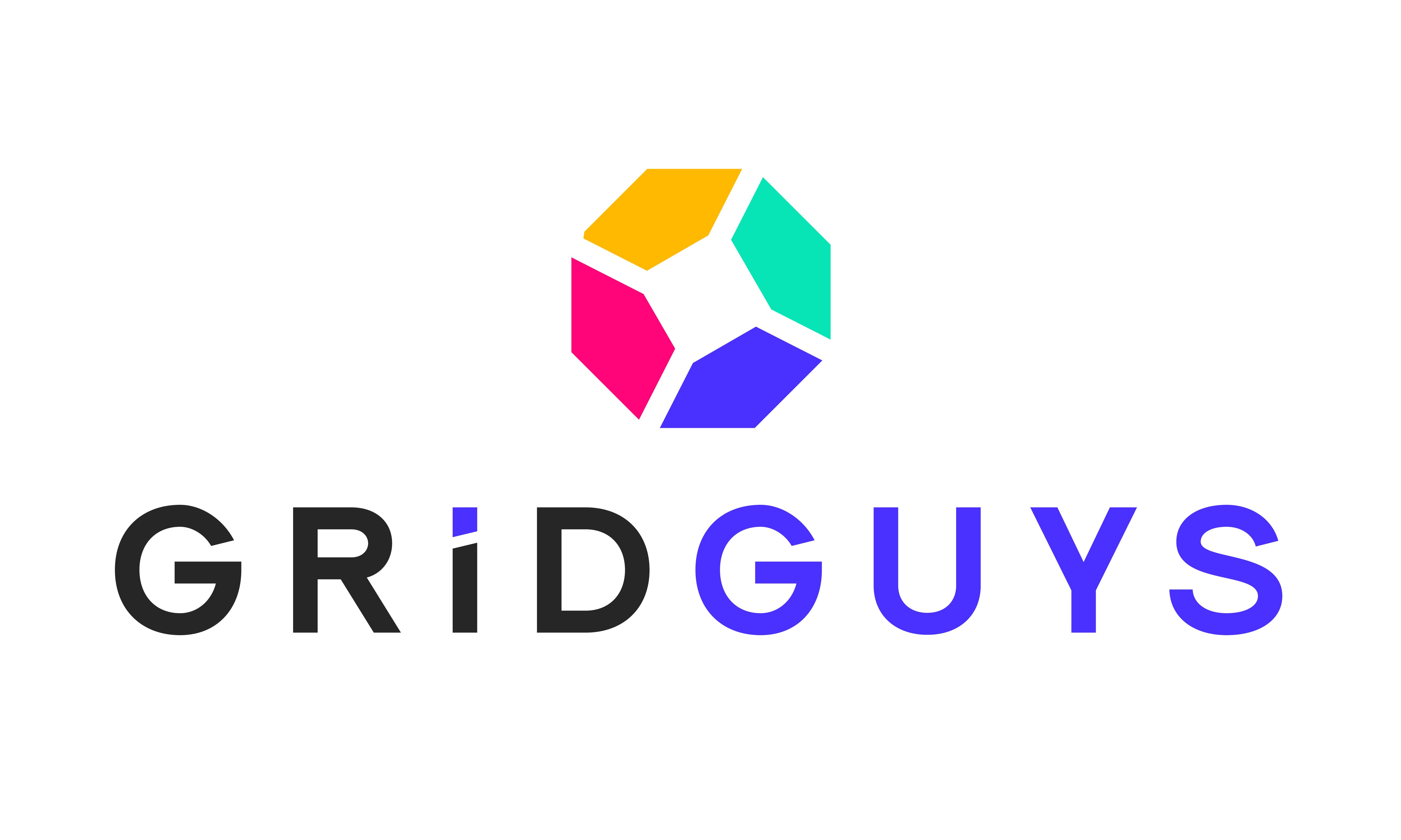 GridGuys.com - buy Catchy premium domains